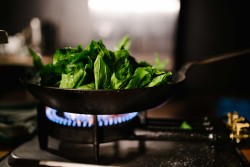 Cooking - Catering Auckland